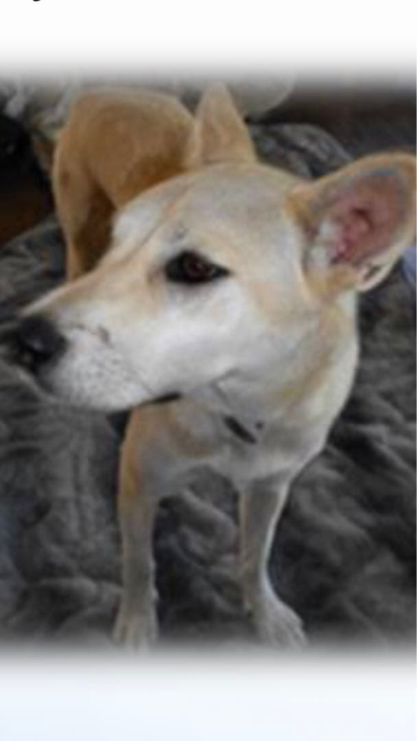 miniさま  確認用　その②