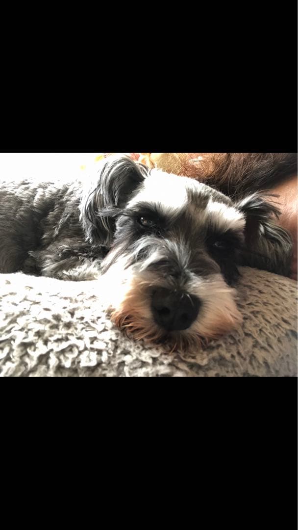 miniさま  確認用　その②