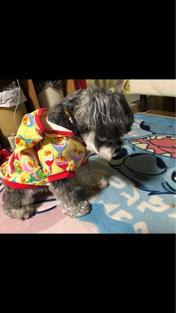 miniさま  確認用　その②