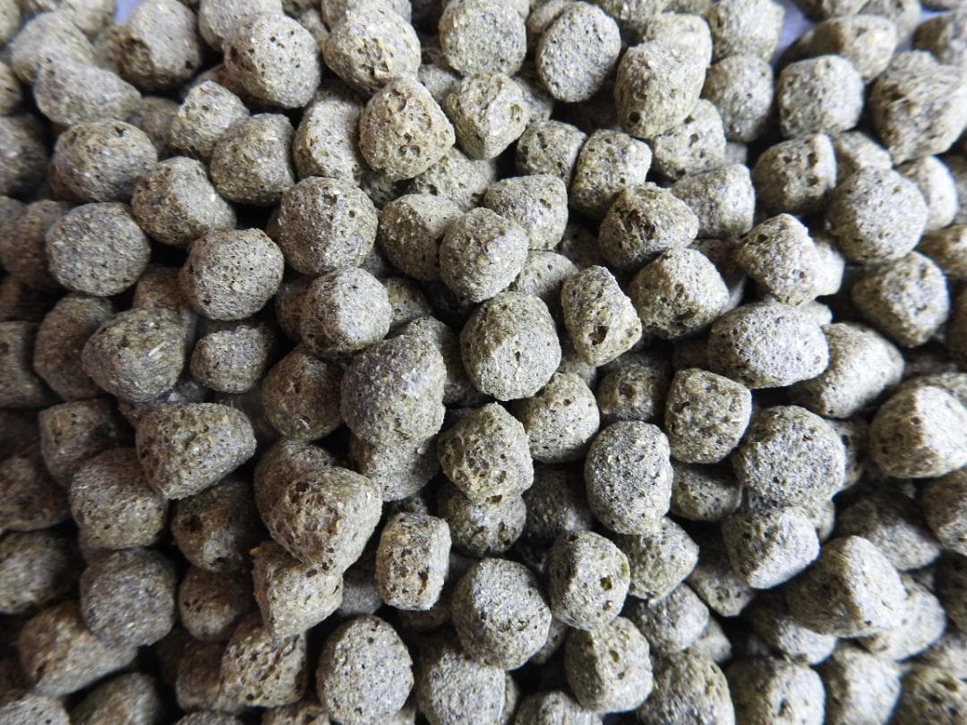 ☆専用商品【アヒル・コールダック用飼料・ペレット】10kg アヒル」の