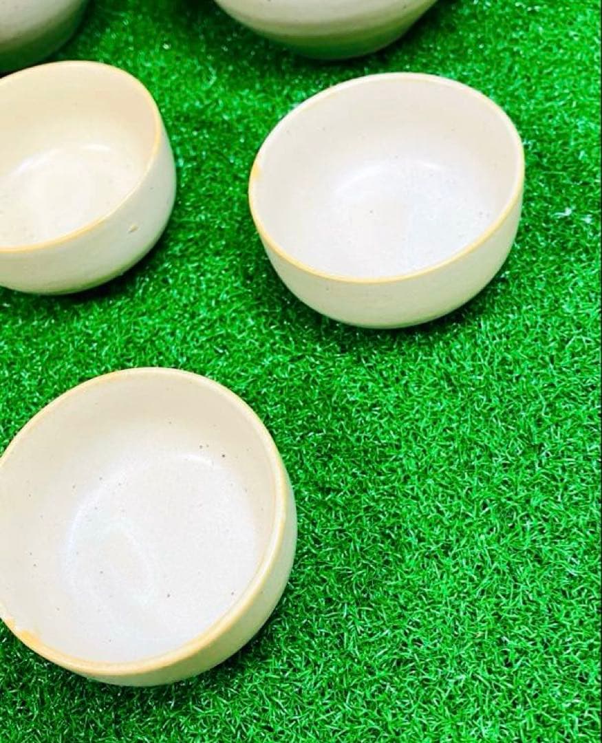 大正5年生・祖父の愛蔵品】七代目 吉向徳善 酒器揃 京