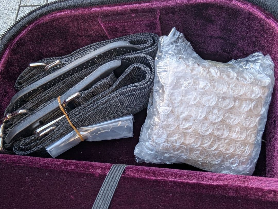 【特価】エレキバイオリン　David Gage　The Realist　RV4