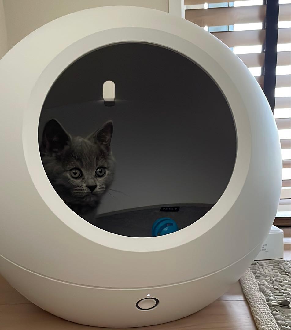 PURINA ONE パウチ各種 50g×12個×7箱（計84個）の通販はau PAY