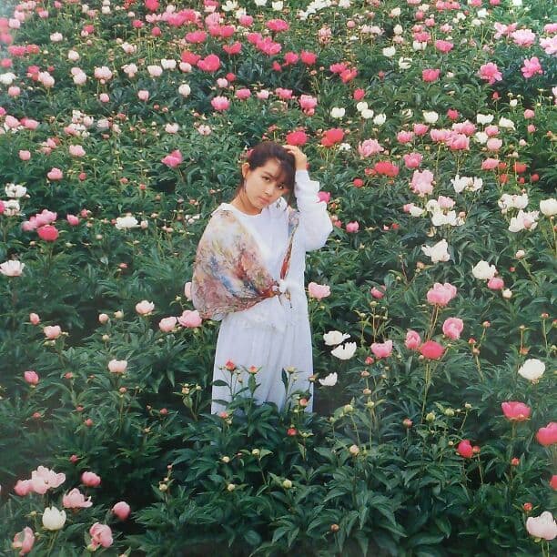 田村英里子」CD販促用パノラマポスター（非売品・新品）