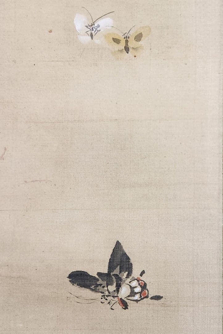 【桔梗に蝶々図】狩野伊川院栄信 2696 江戸狩野派 古画 掛け軸 肉筆