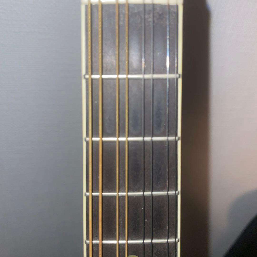 訳あり Eastman MD505　マンドリン ハードケース付き