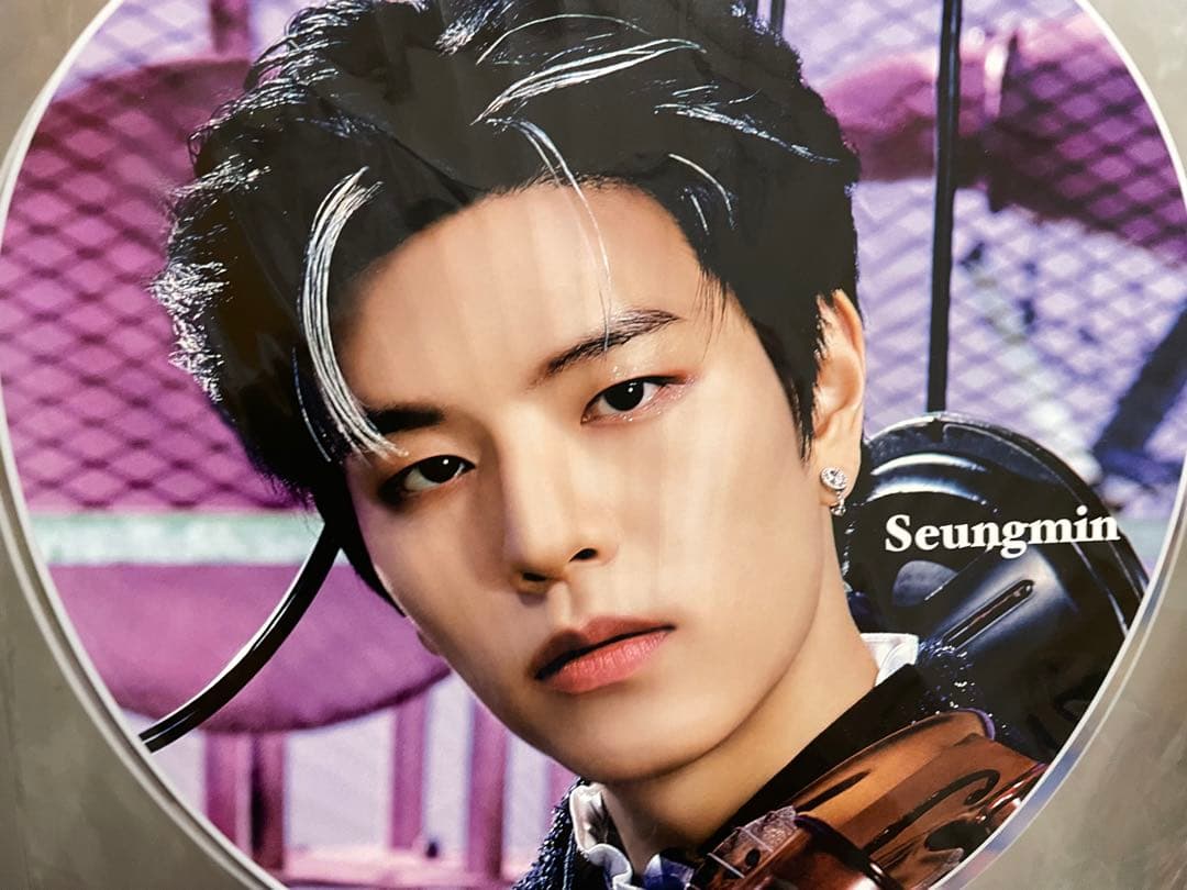 Stray Kids スンミン グッズ