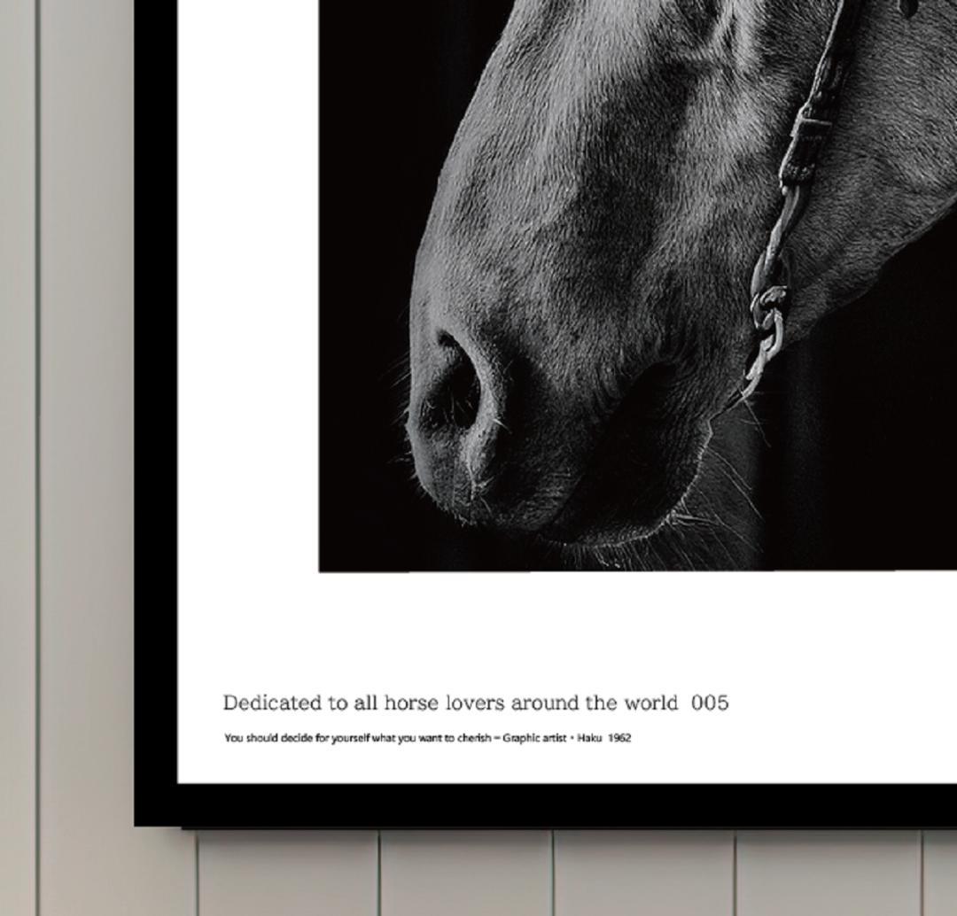 馬・No.005／「HAKU 」アートポスター　400×500