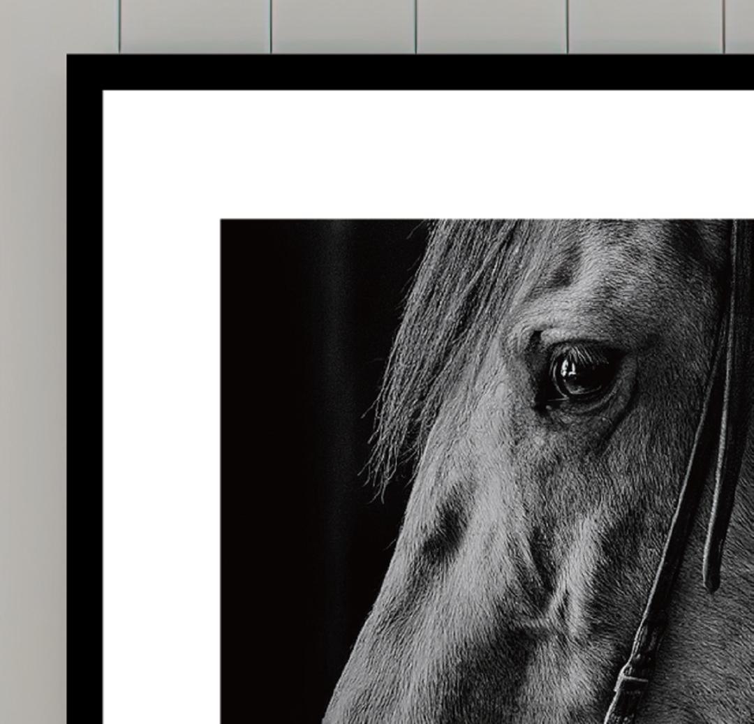 馬・No.005／「HAKU 」アートポスター　400×500