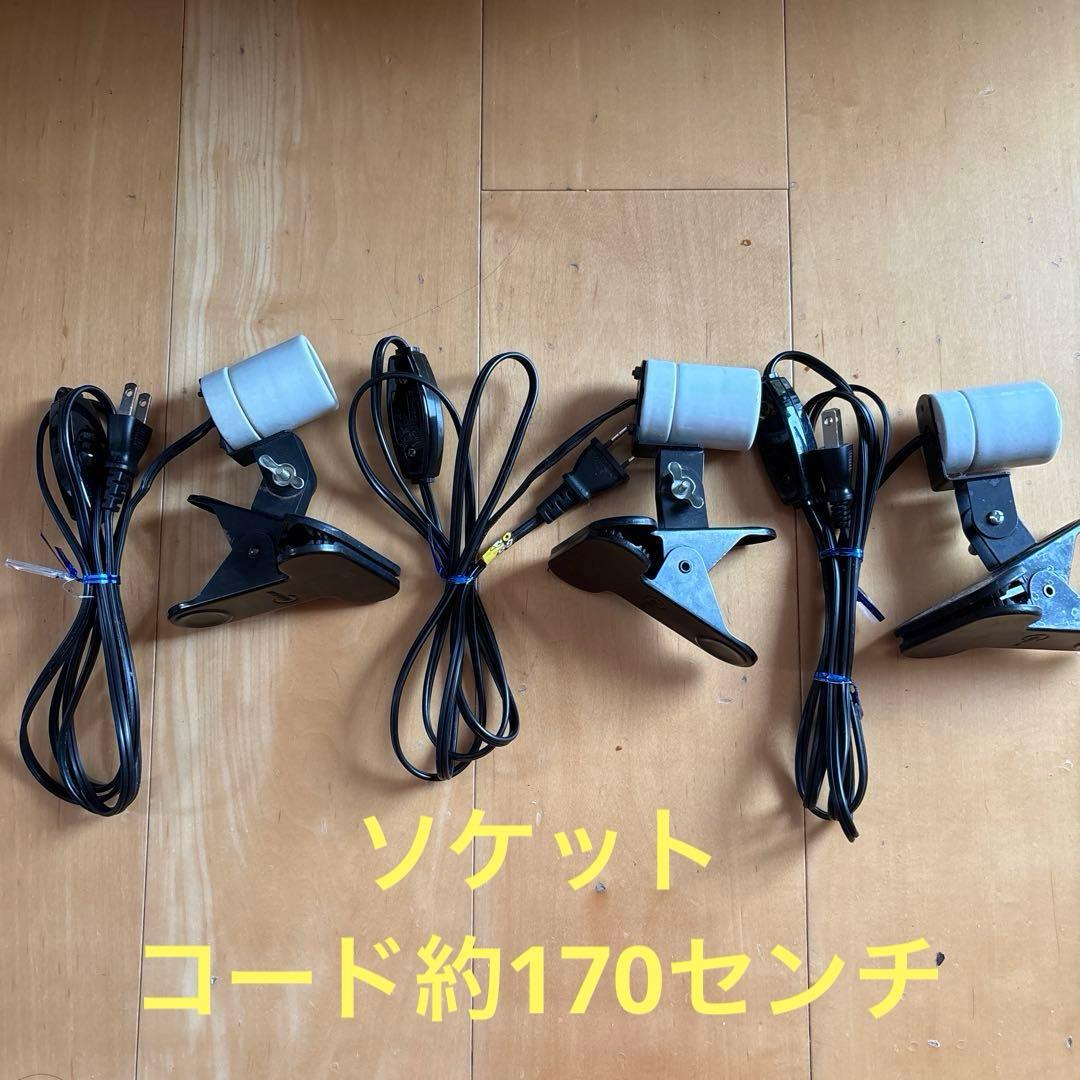 爬虫類愛好者、初心者必見！】ソケットとライトのセット 値引き交渉可