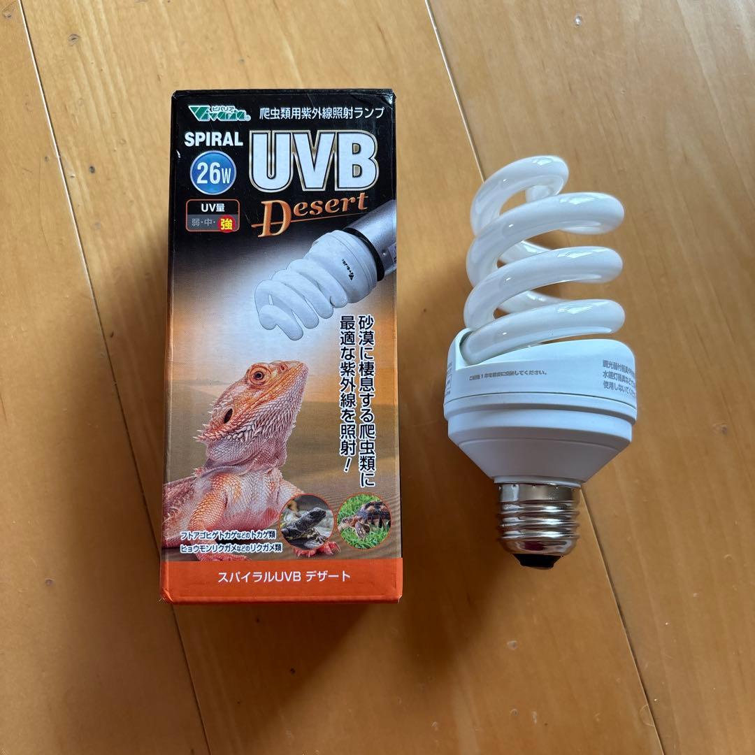 爬虫類愛好者、初心者必見！】ソケットとライトのセット 値引き交渉可