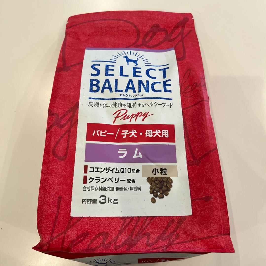 セレクトバランス パピーラム 3kg 2袋セット パピー/子犬・母犬用 ラム