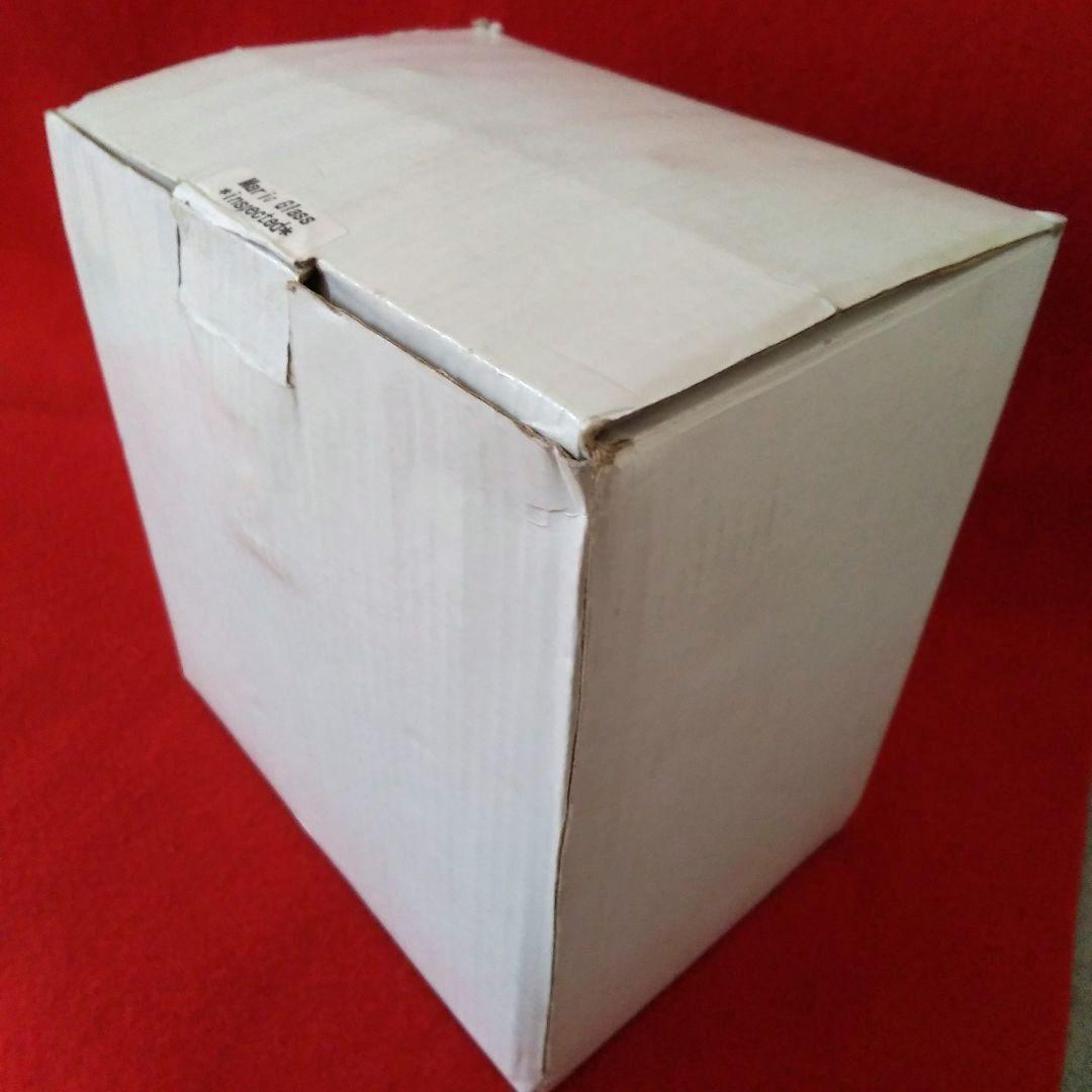 【超貴重品】マリックグラス／MARIC GLASS （DVD付）