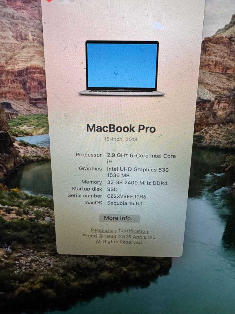 MacBook本体 MacBook Pro 15 i9 32GB 1TB SSD 1.5GB GPU