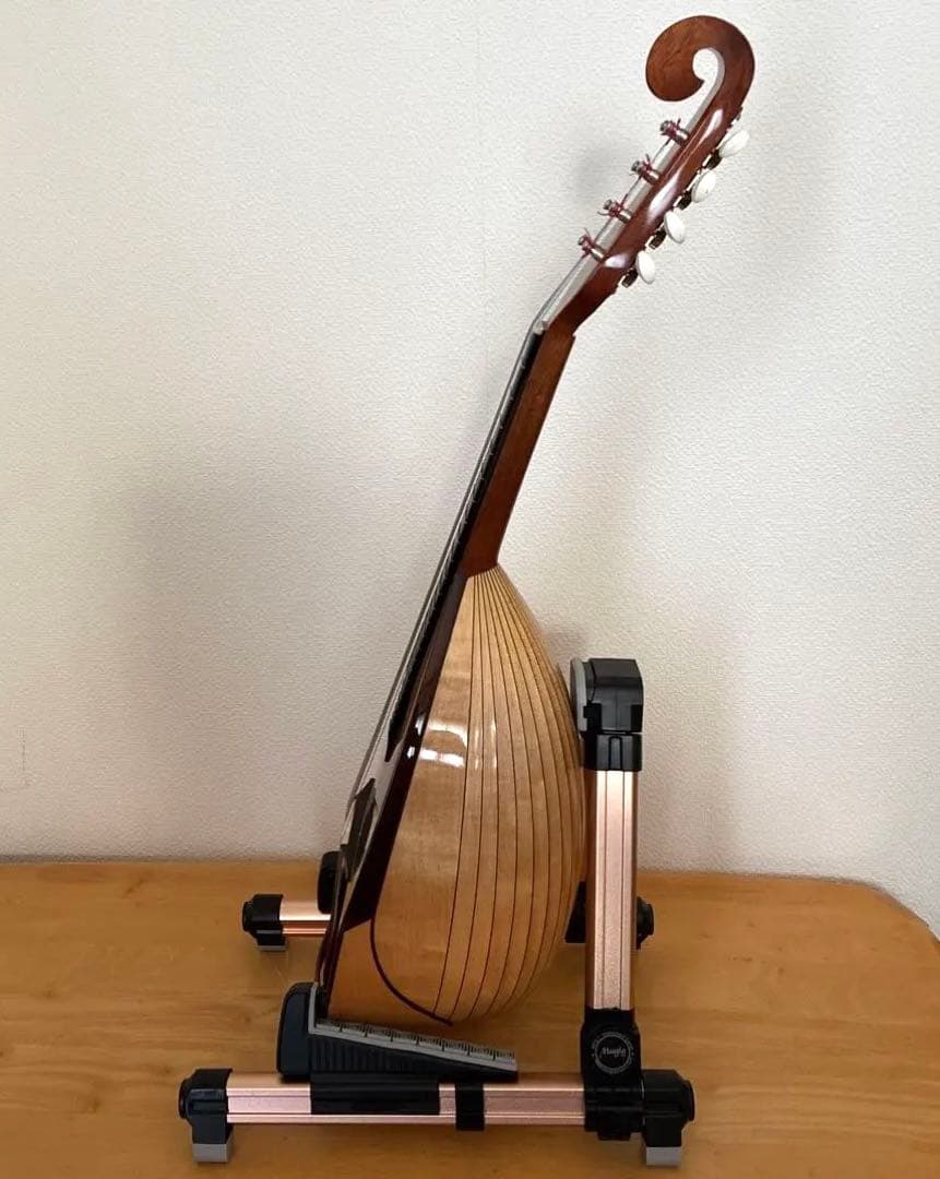 野口マンドリン『 SAマンドリンナポリ型』 2015年製 ケース付き - メルカリ