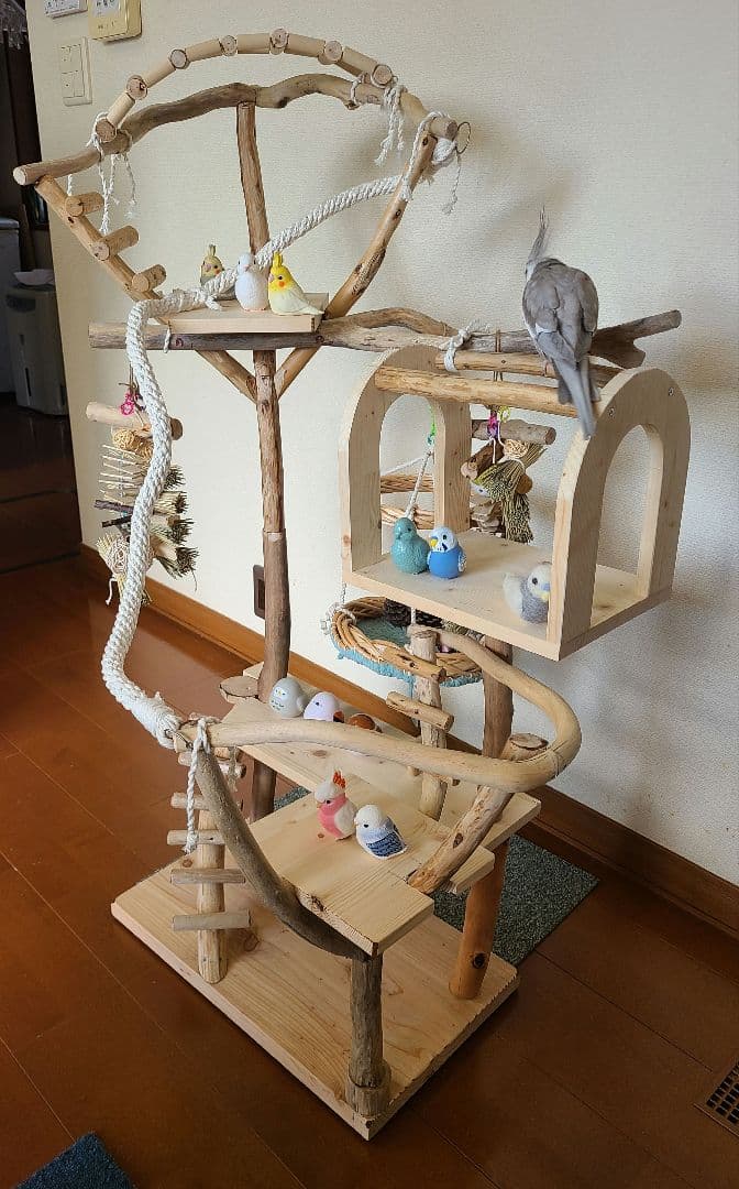 ①ty master@即購入ok様専用 オーダー バードアスレチック 流木 鳥用品