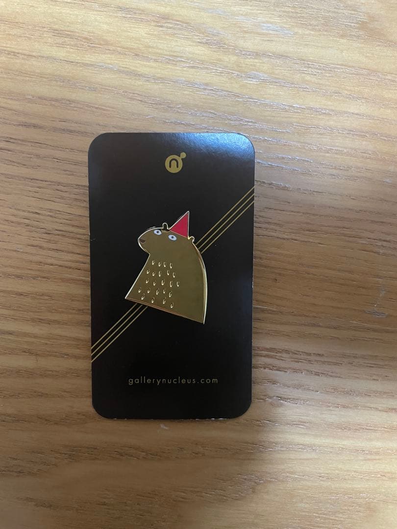 Jon Klassen / ジョン・クラッセン　ピンバッジ どこいったん