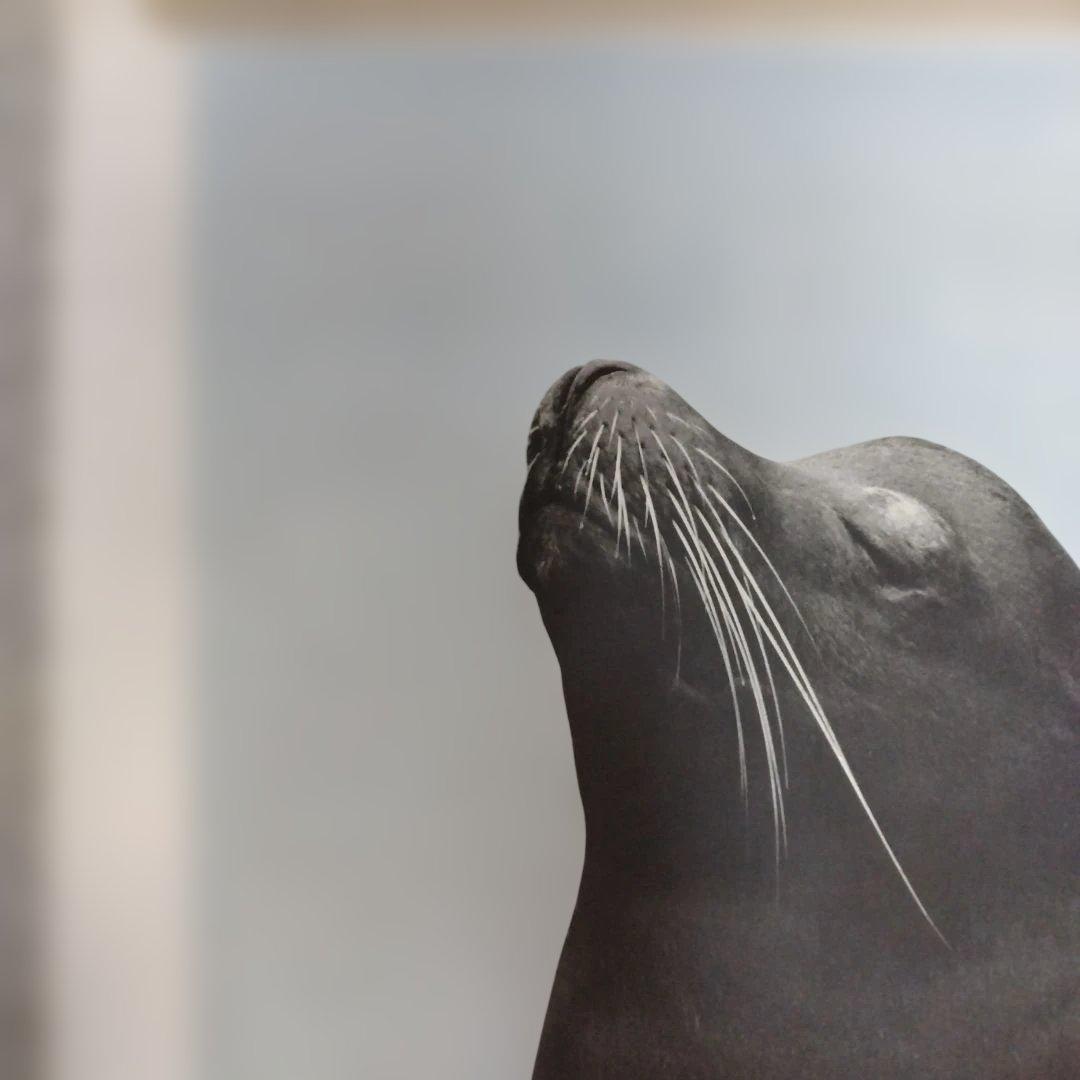 濱谷浩展 ポスター 写真体験60年 - メルカリ