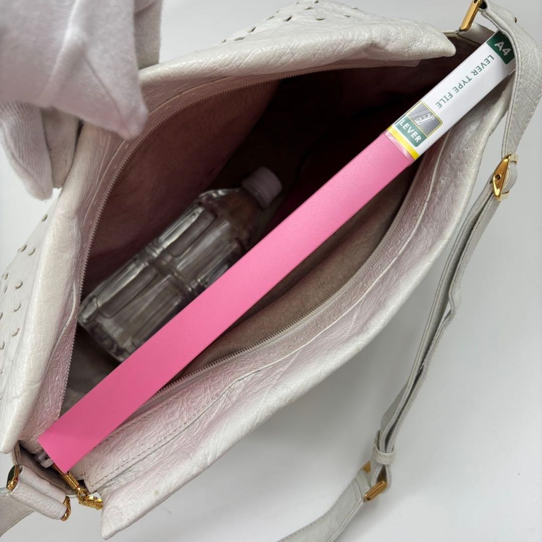 【希少】GUCCI ショルダーバッグ インターロッキング 金具 オーストリッチ