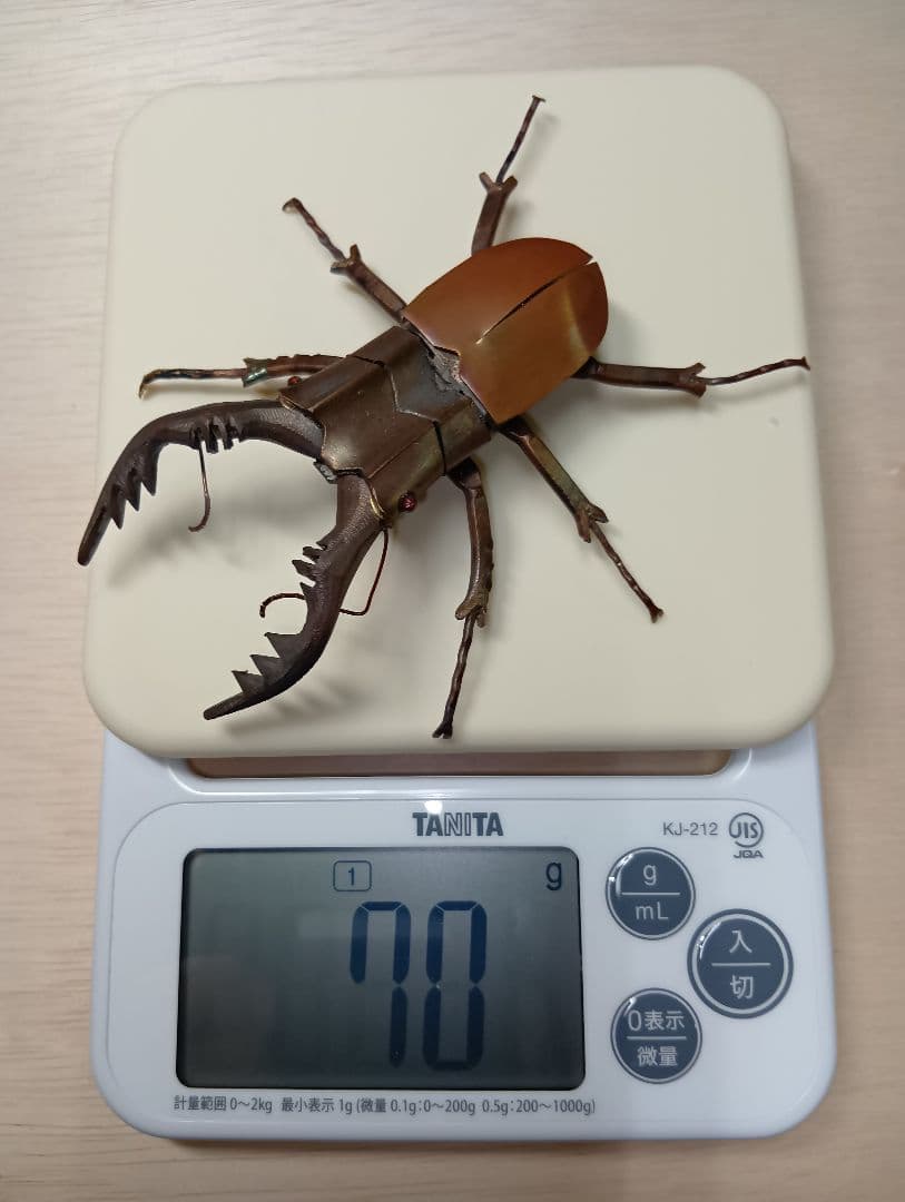 金工ノコギリクワガタ　オブジェ　ペーパーウェイト