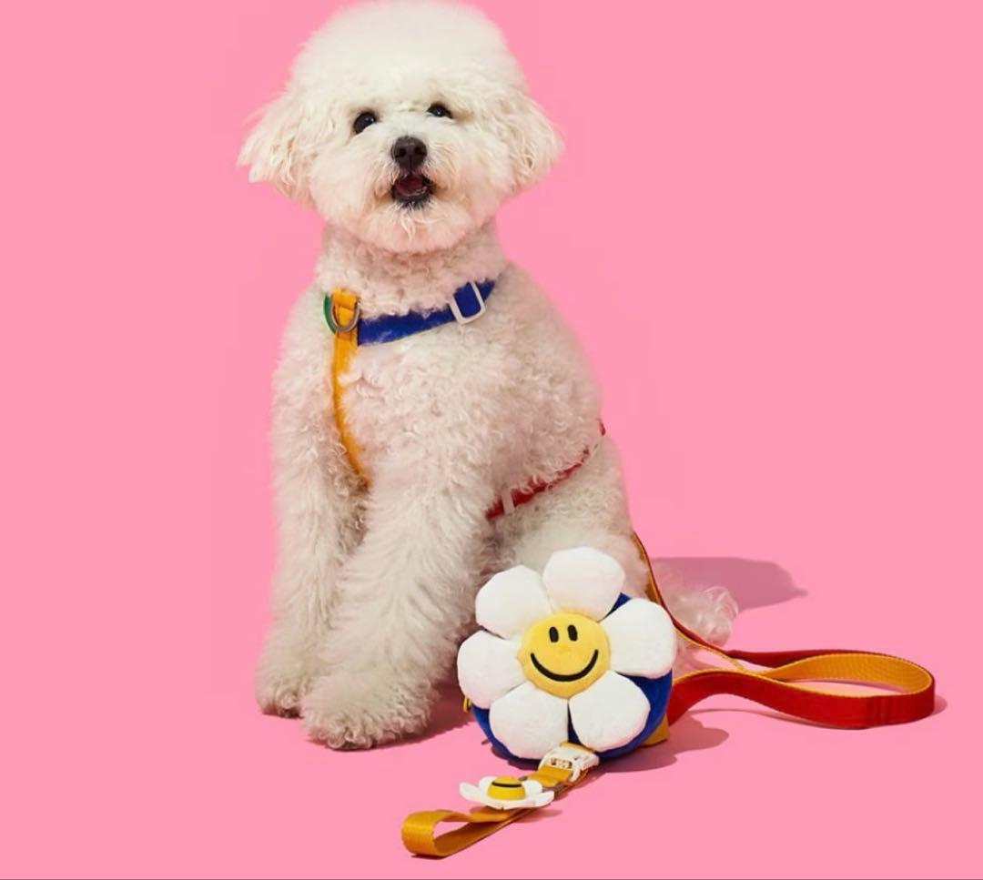韓国ペスルームXウィグウィグ ハーネス スマイル S wigglewiggle