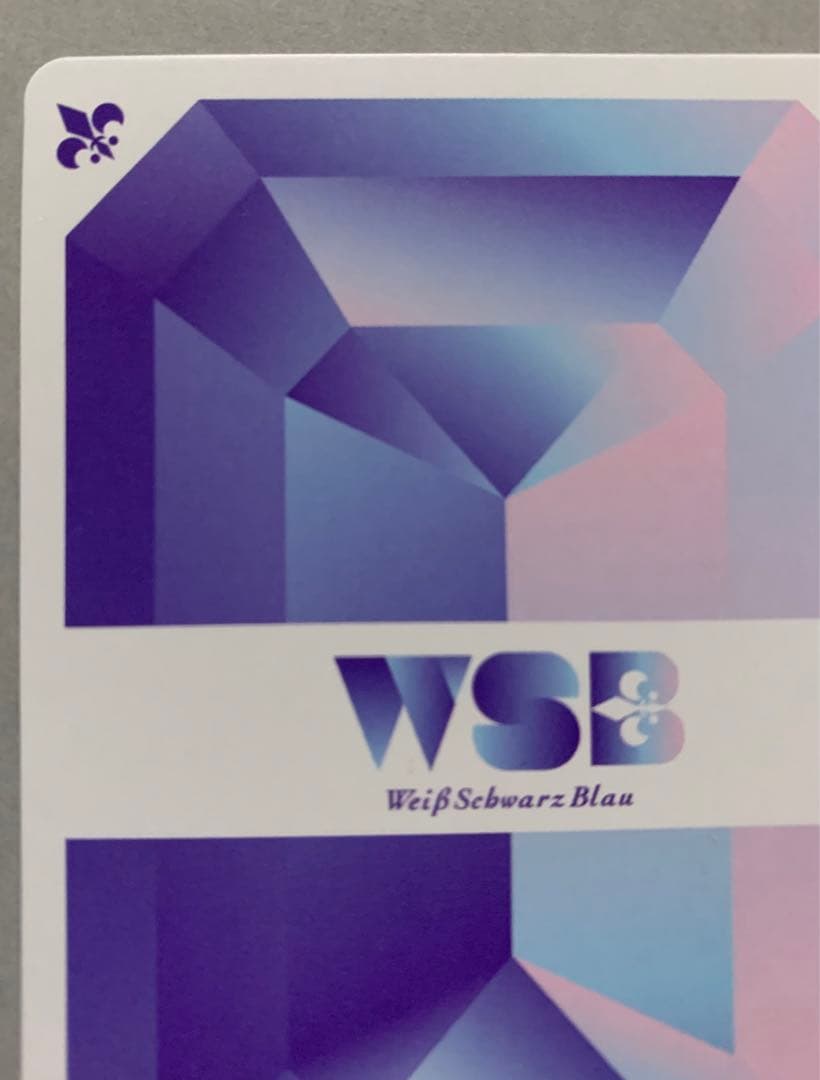 ZINGAI  Eve - 幻夢  SSP  ヴァイスシュヴァルツブラウ　WSB