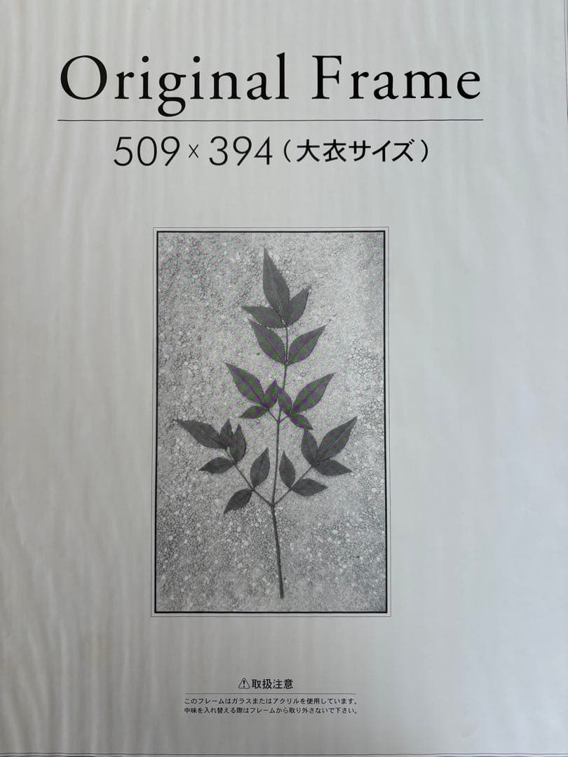 Heather Brown Art Print \"Anuenue\"　アヌエヌエ