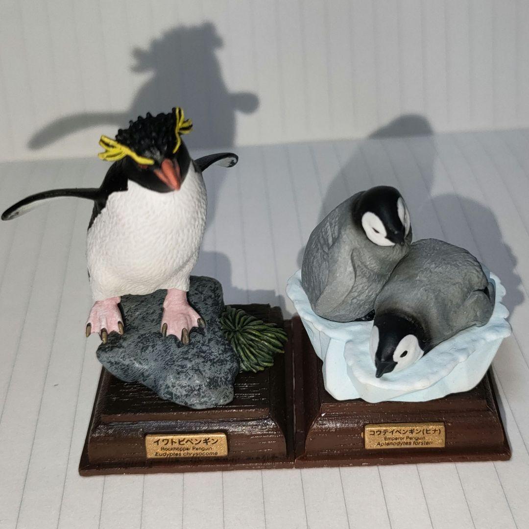 ネイチャーテクニカラー南極激レア試作品イワトビペンギン