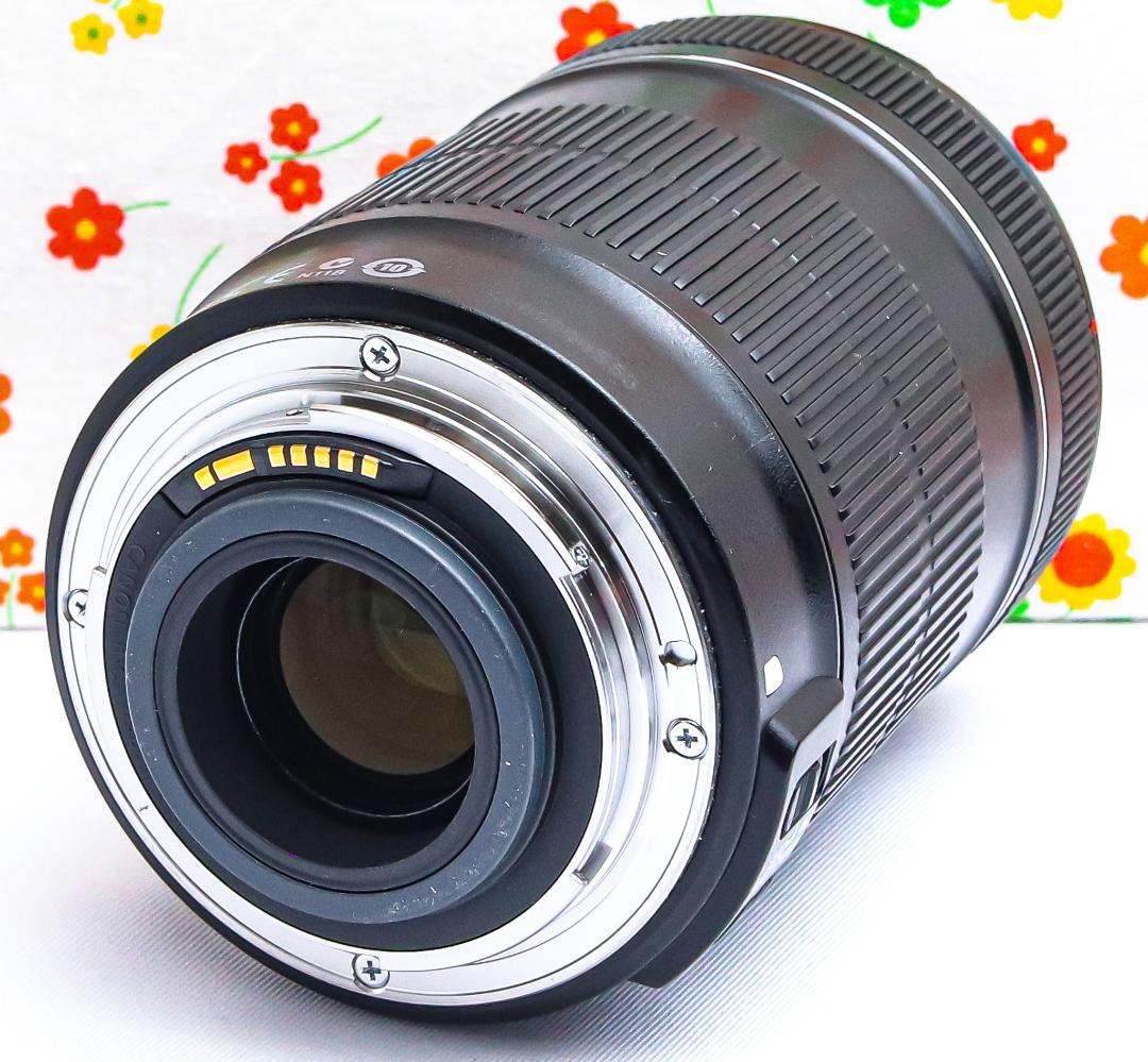 キャノン Canon EF-S 18-135mm☆高倍率レンズ☆広域レンズ！