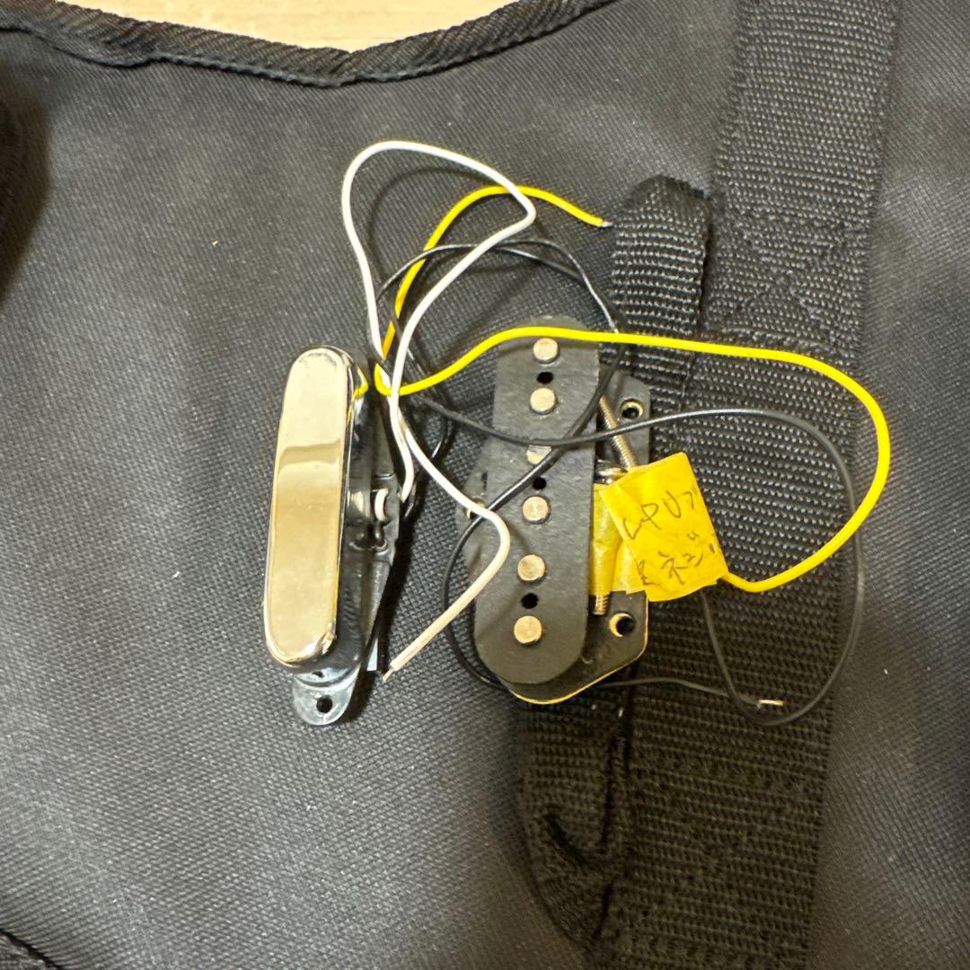 Bacchus テレキャスター 改造 Rio Grande搭載 時雨TK系 - メルカリ