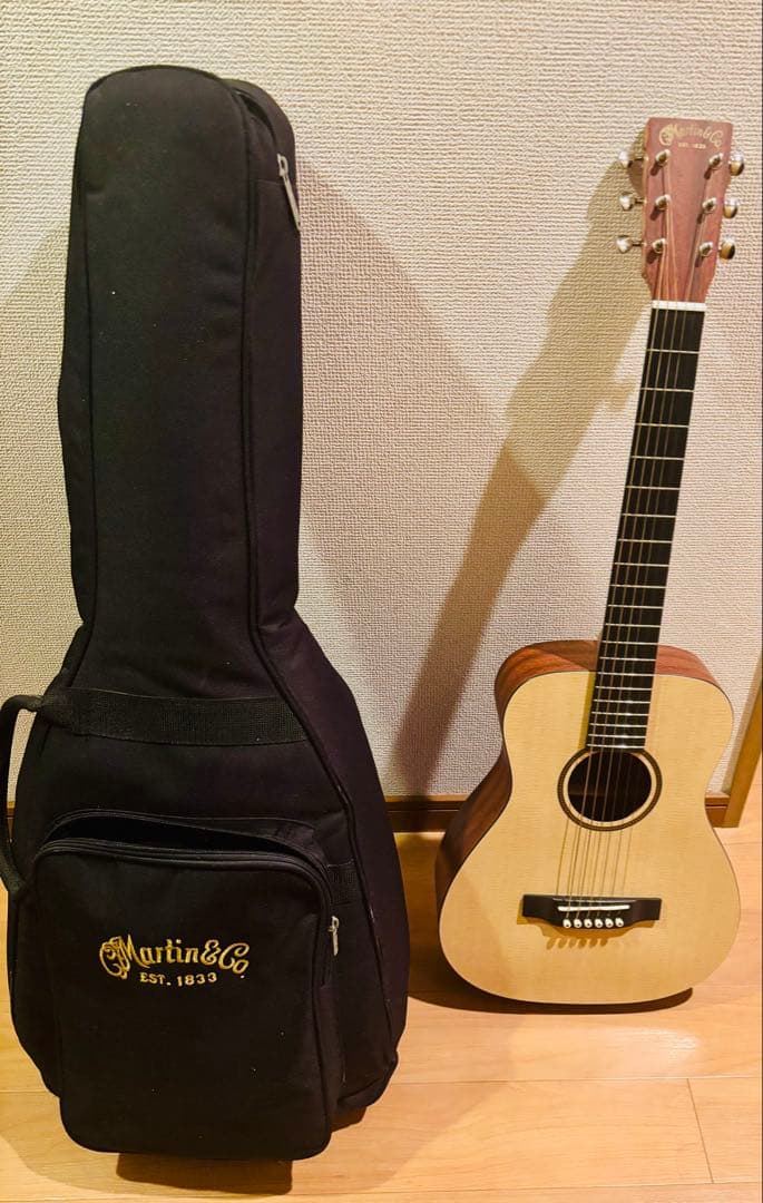 Martin & Co. アコースティックギター ギターケース付き 楽器・機材