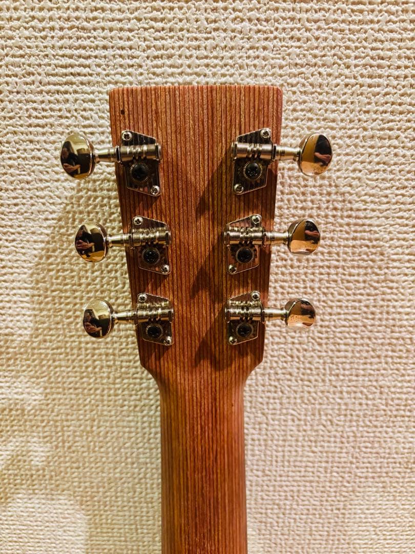 Martin & Co. アコースティックギター ギターケース付き 楽器・機材