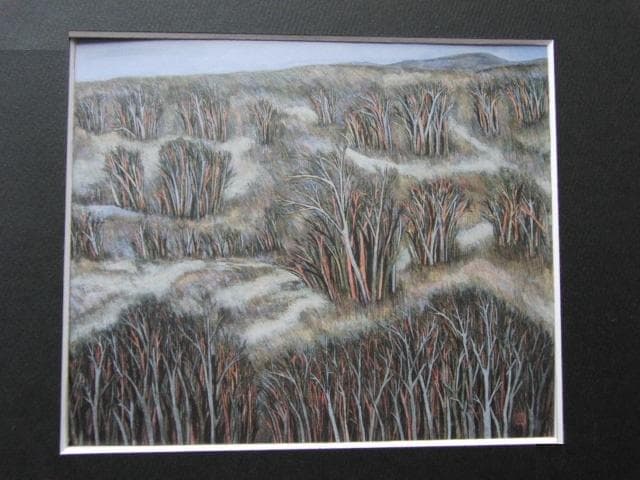 香川亮、【風の銀林】、希少な額装用画集より、新品額装付