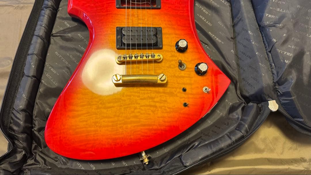 Burny MG-145S X JAPAN hideモデル