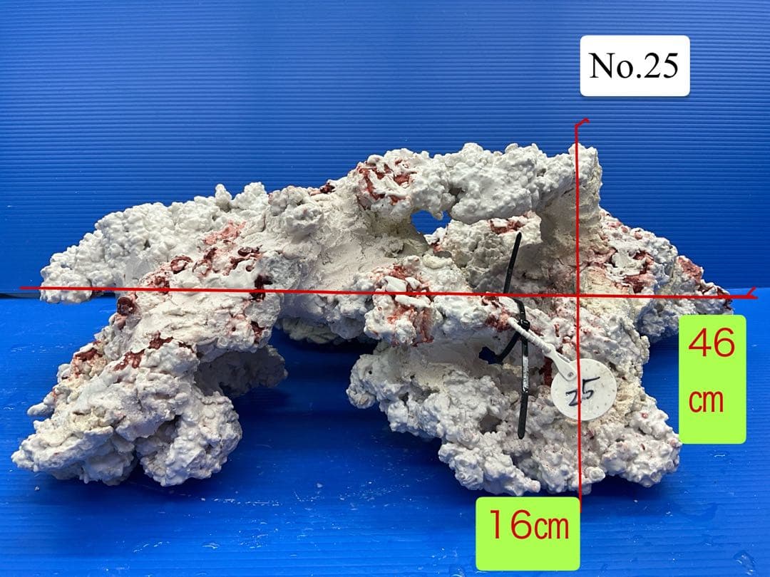 人工ライブロック. No.42. 無害化処理済