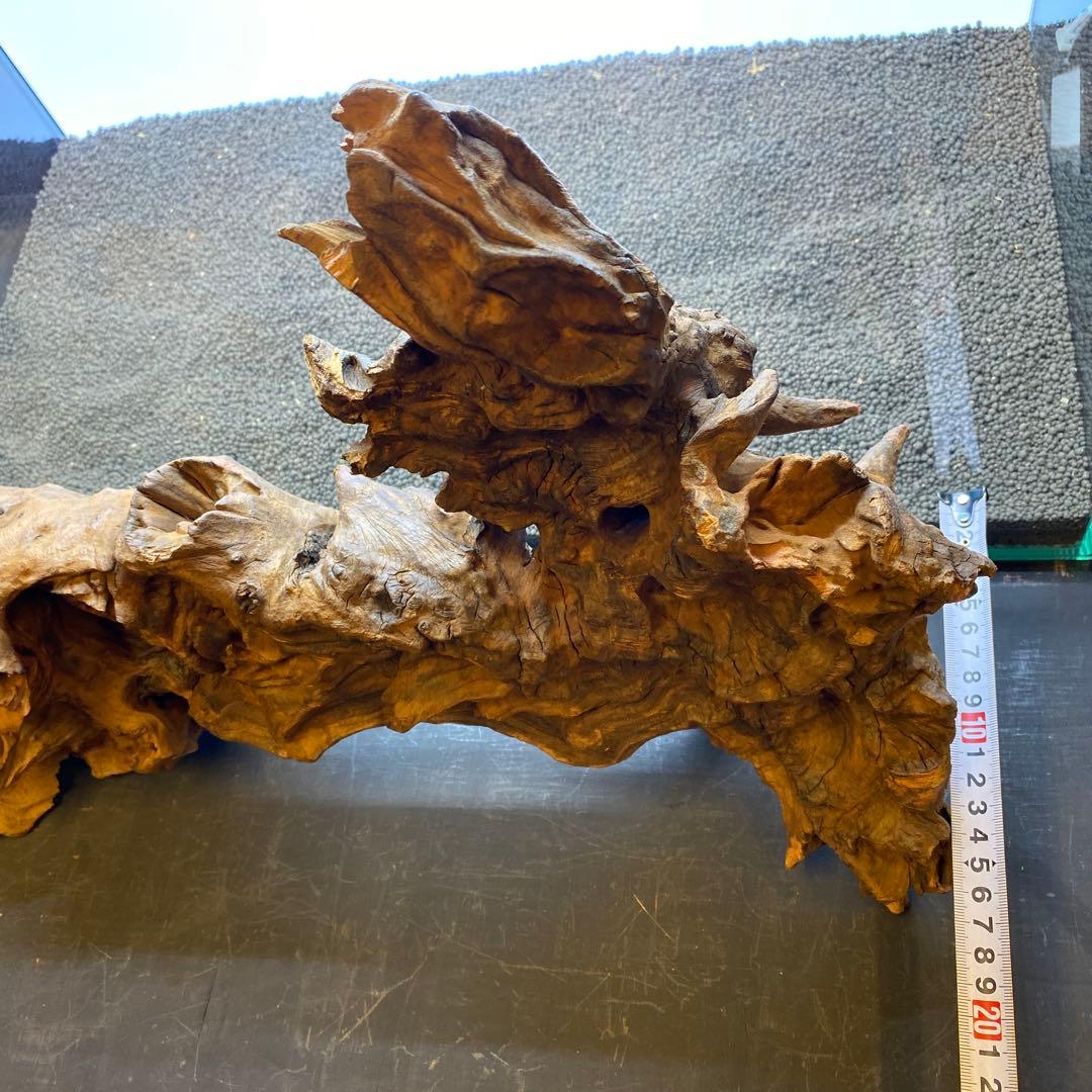 MRW-6570 特大自立赤系天然流木 1点物 流木 アクアリウム