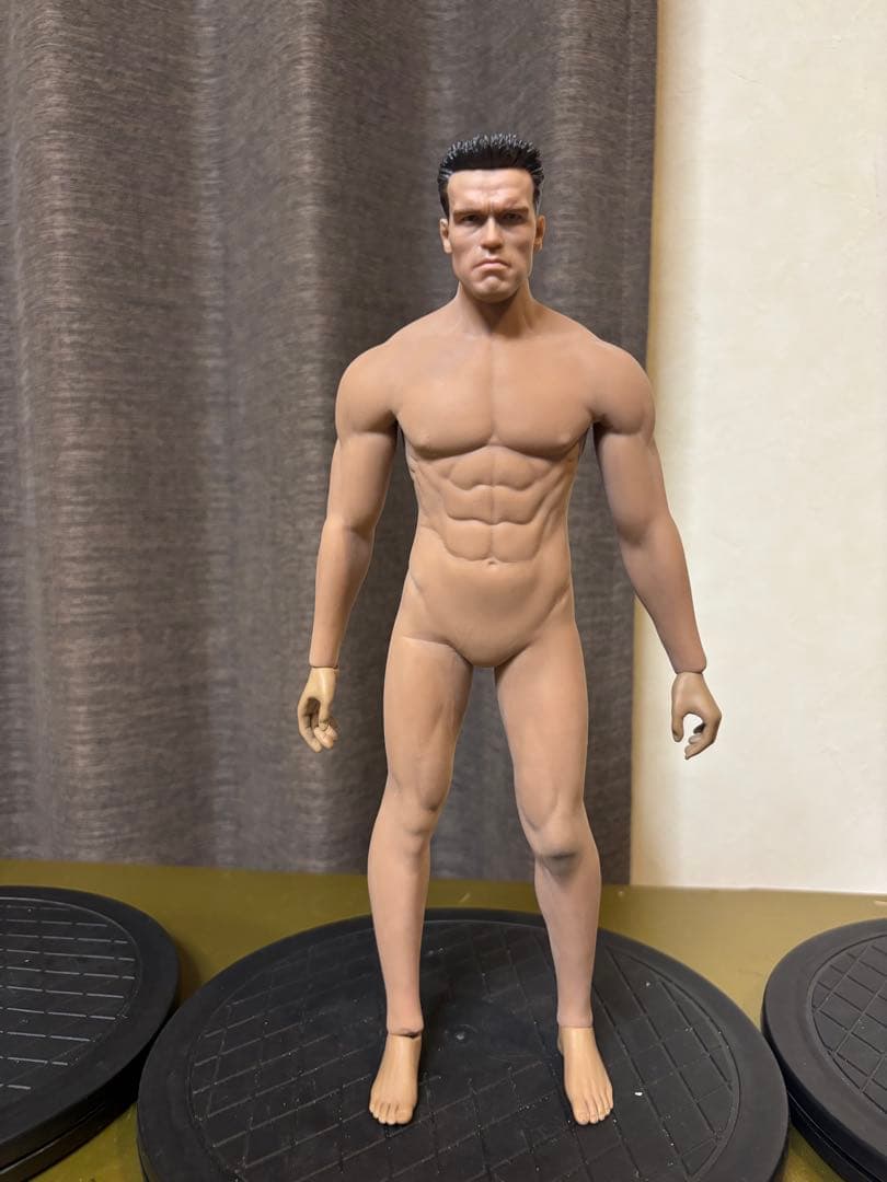 ターミネーター 転送時version 1/6 シームレスボディ