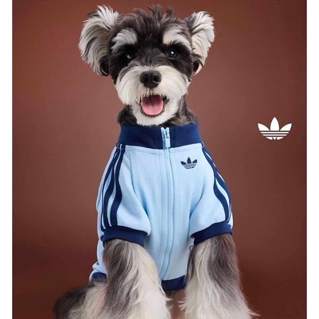 adidas 水色 犬服 猫服 中国限定 ジップアップウェア Mサイズ adidas