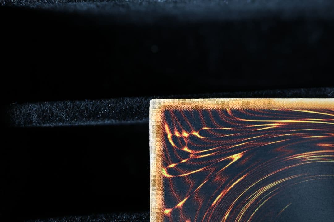 真紅眼の闇竜 レッドアイズ・ダークネスドラゴン 遊戯王 W65-JP001