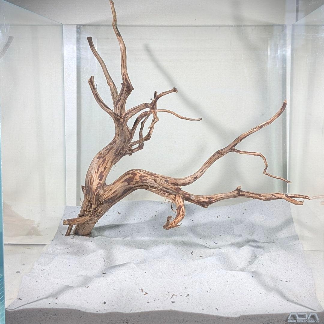 スマトラブランチウッド【SBC234】アクアリウム 流木 まとめ買い対応