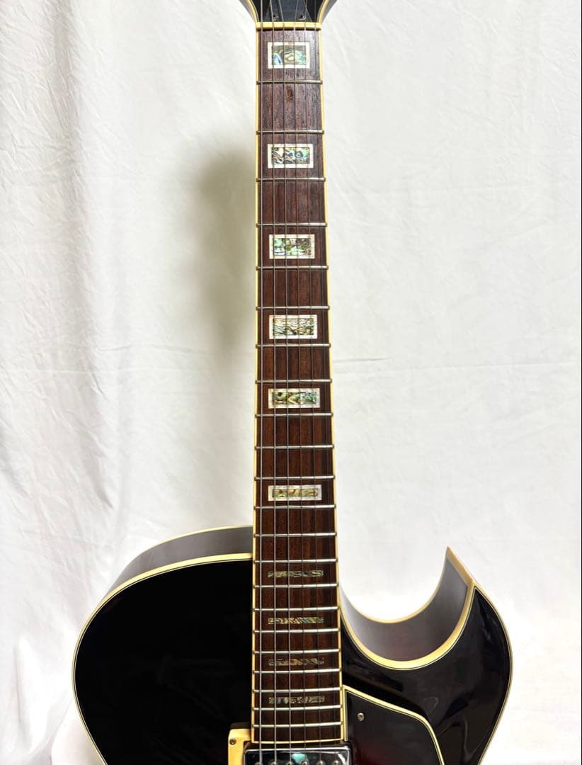 【新品弦張替済】Ibanez フルアコ AK85-DVS ARTCOREシリーズ