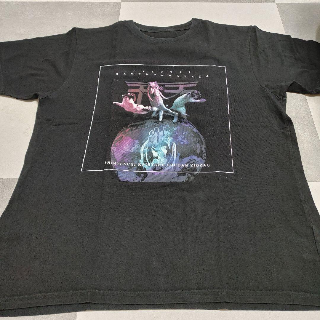 -真天地開闢集団-ジグザグ 禊 物販 参拝装束 タオル グッズ クリーニング済