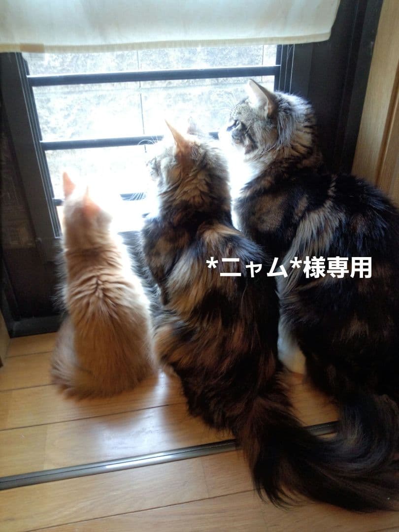 E】*ニャム*様お取り置き