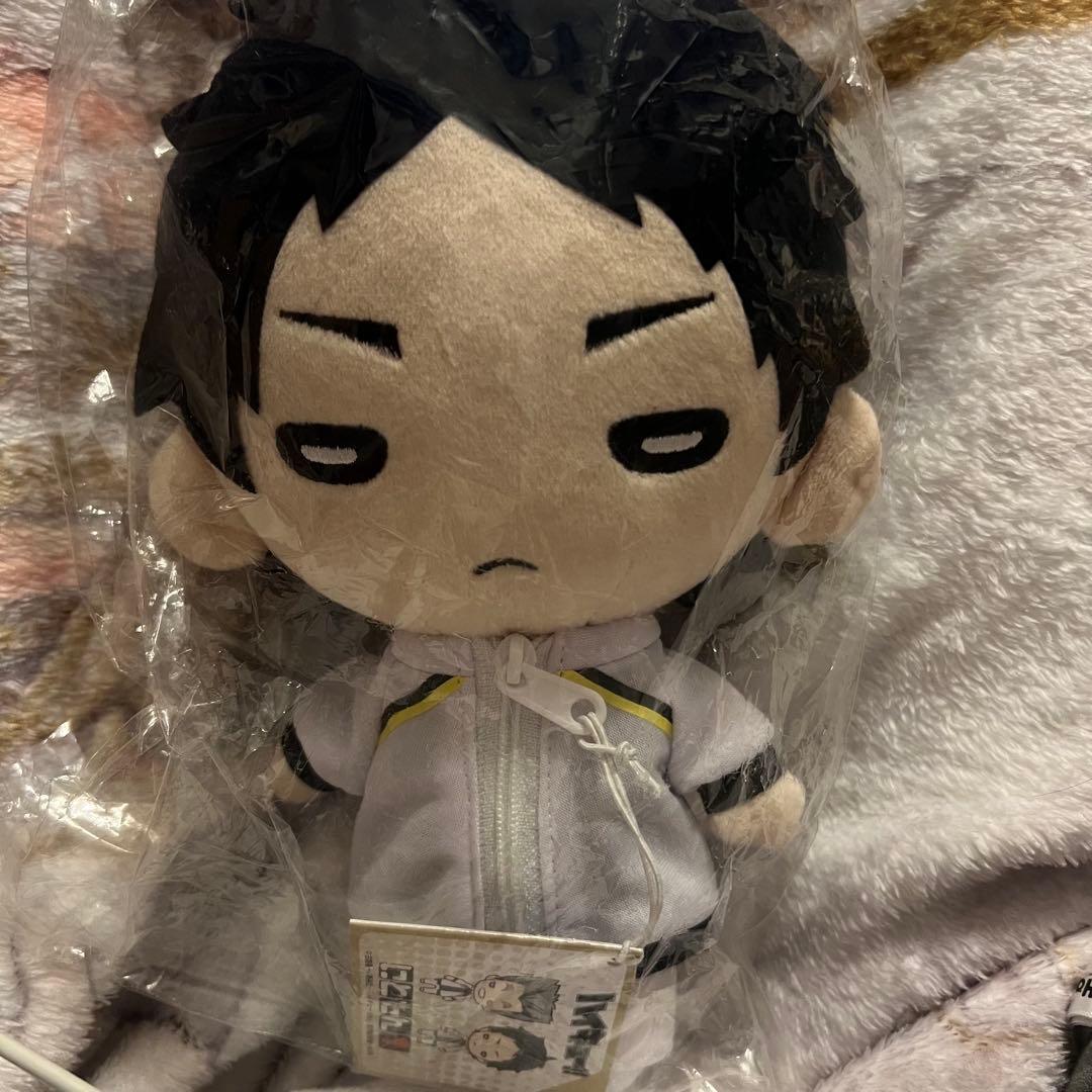 ハイキュー にとたん 大きい おおきいぬいぐるみ 赤葦京治 赤葦