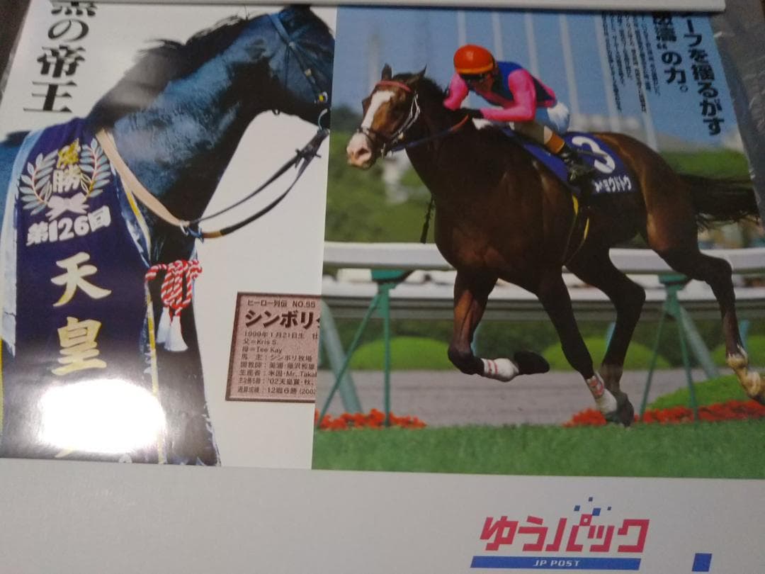 ヒーロー列伝 ポスター B3 メイショウドトウ等 JRA 競馬 オンライン