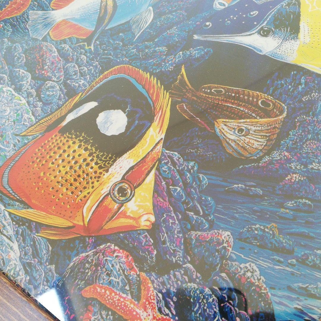 アートパネル 海 珊瑚礁 熱帯魚 グアム ハワイ ワイキキ オアフ リゾート