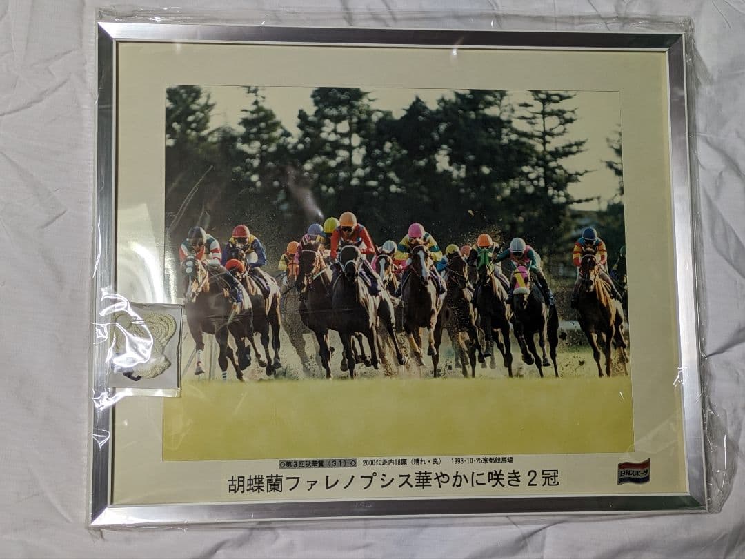 ファレノプシス 武豊 秋華賞 競走馬 写真 パネル 額縁入り スポーツ