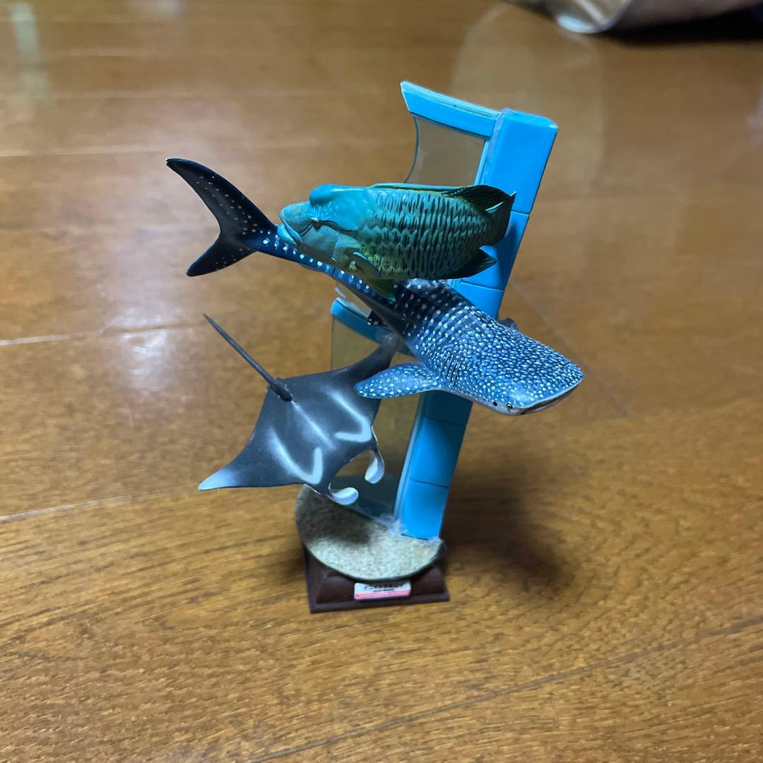 【海遊館限定】　海遊館ガチャガチャ　オニイトマキエイ　アオウミガメ