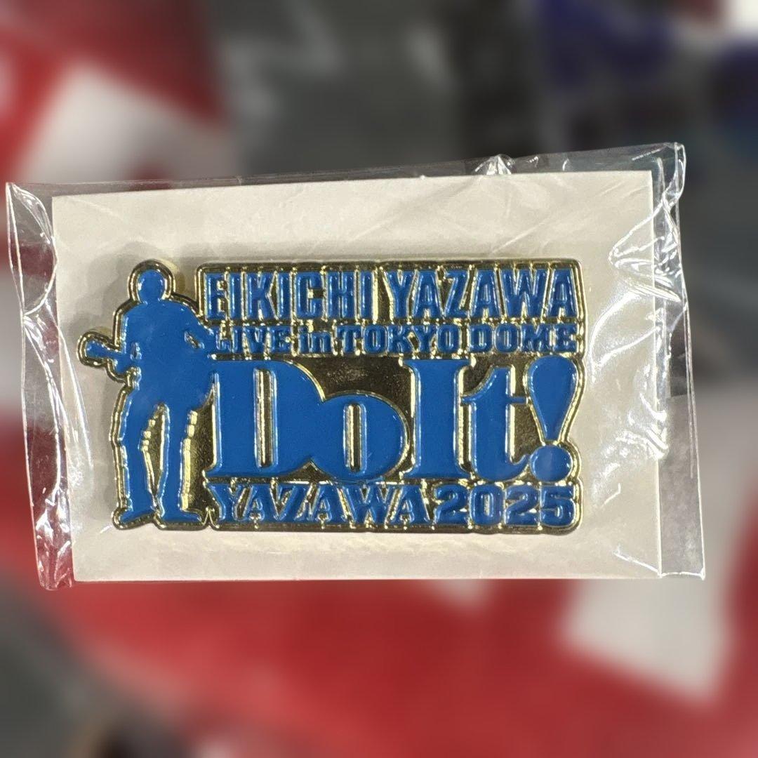 矢沢永吉東京ドームDo It!2025.11.9プレミアムグッズ詰め合わせ