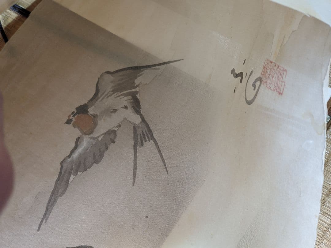 ♦日本画 書画 燕飛翔図 絹本墨画 絵画 水墨画 彩色画 美術品 骨董品